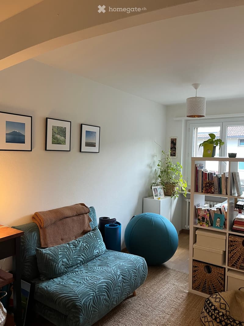 A cozy living room with a teal upholstered sofa, a large blue exercise ball, a wooden side table, a bookshelf filled with books and decorative items, and framed pictures on the wall. Natural light streams in from a window with a plant on the sill.