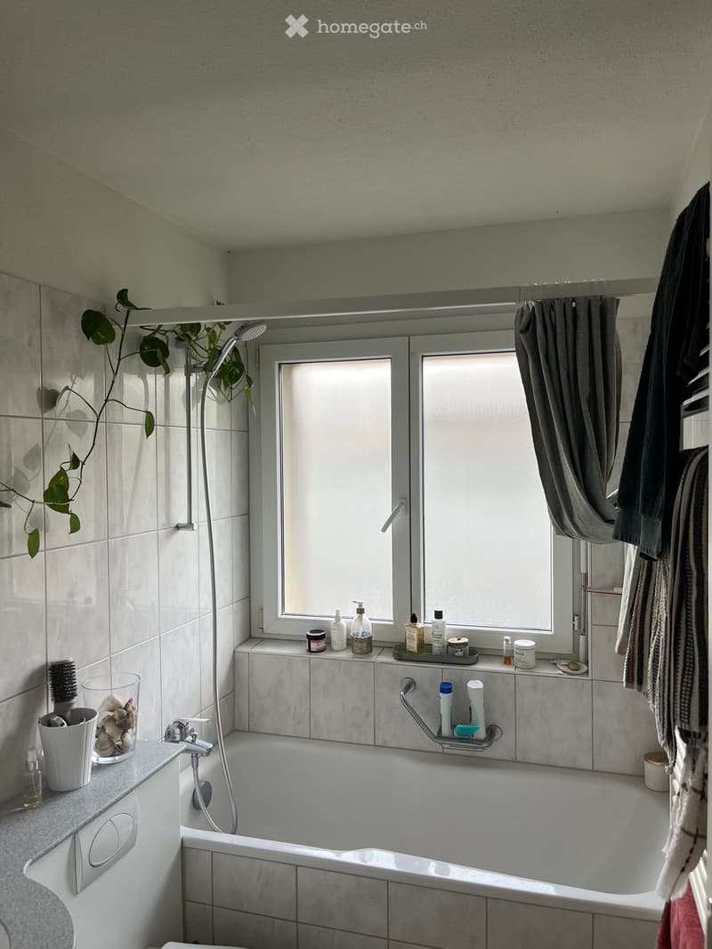Modern bathroom with a bathtub, showerhead, and various toiletries on the windowsill and countertop. Includes a towel hanging on the side and a small plant on the wall.