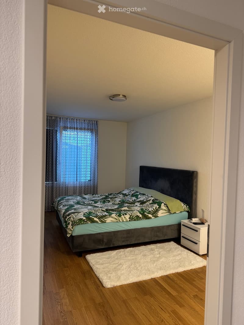 Cozy bedroom with wooden flooring, a large bed with a dark headboard and green and white bedding, a white shag rug, and a white nightstand with drawers.