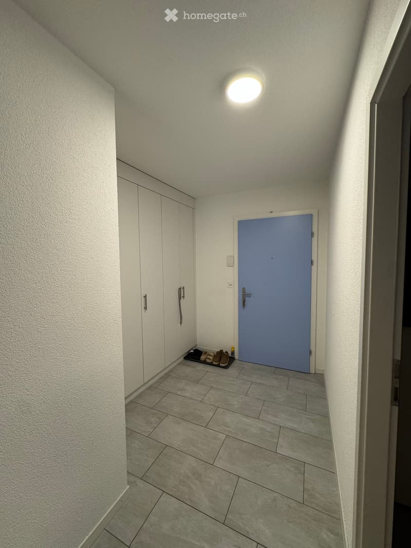 A clean, modern hallway with tiled flooring, white walls, a round ceiling light, a white closet with silver handles, and a blue door leading to another room. A small shoe rack with several pairs of shoes is placed near the door.