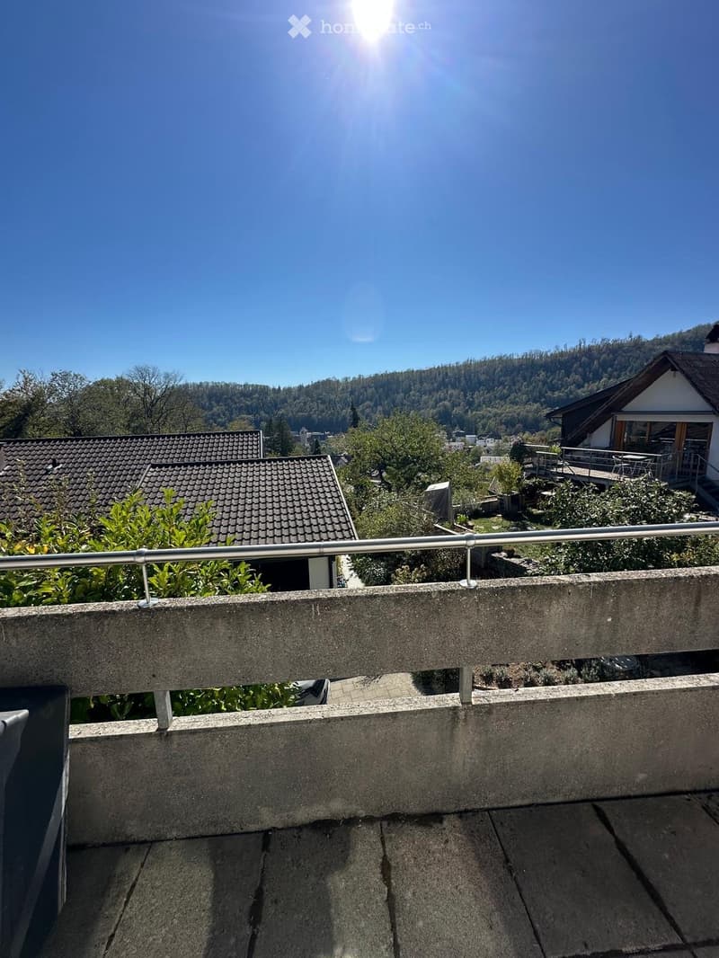 Balcony with concrete railing overlooking a scenic valley, surrounded by greenery and houses.