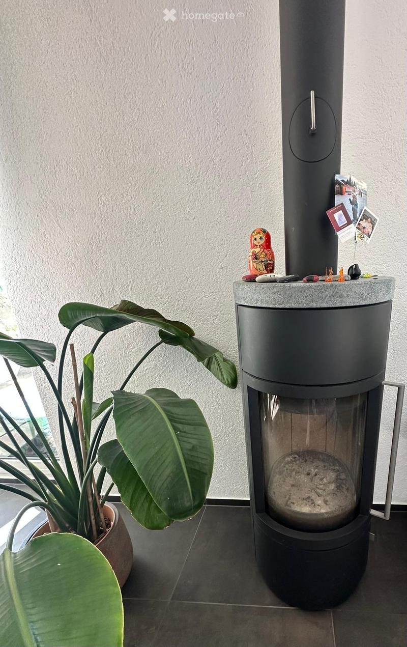 A modern, sleek black electric fireplace with a glass front and a decorative stone top, accompanied by a large leafy plant in a pot.