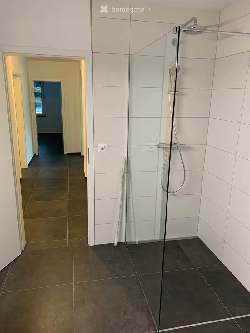 Modern bathroom with a glass-enclosed shower, dark tiled floor, and white tiled walls. The shower features a handheld showerhead and a fixed overhead sprayer.