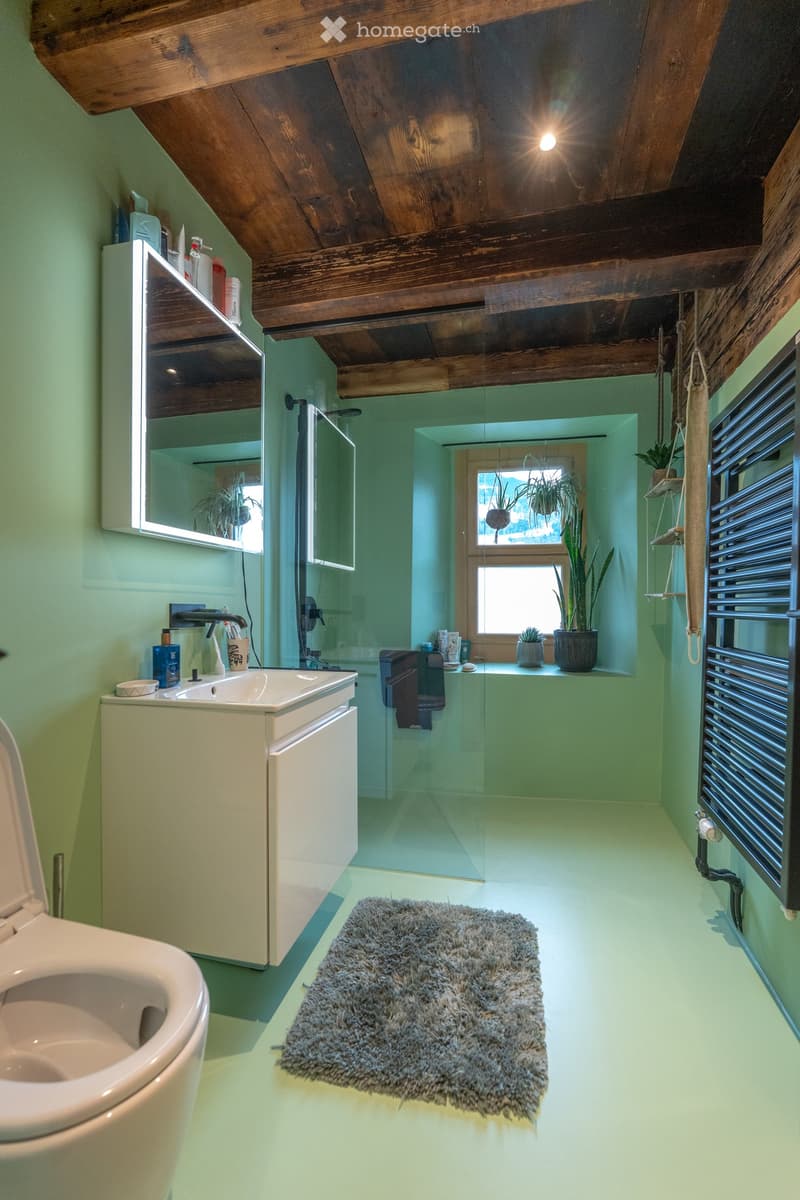 Modern bathroom with mint green walls, exposed wooden beams, a toilet, sink, mirror, shower, radiator, and a fluffy rug.