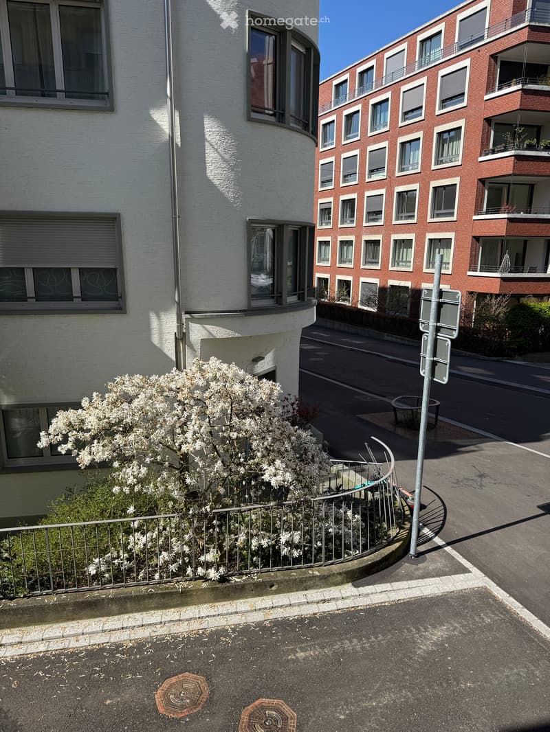 Two multi-story apartment buildings with white and red brick facades, multiple windows, balconies, and a small garden area with flowering shrubs.