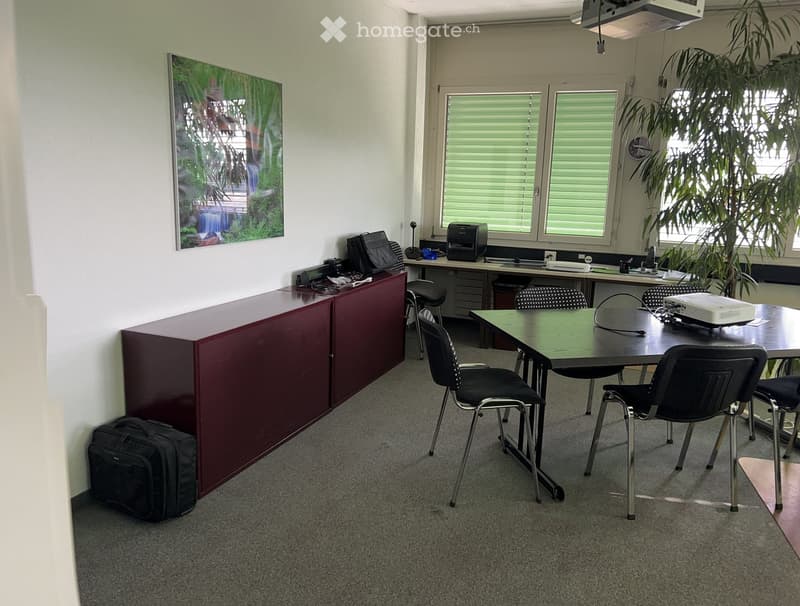 Office space with a long red cabinet, a green table surrounded by black chairs, a printer, a laptop, and a projector screen. There is a large window with blinds and a potted plant near the window.