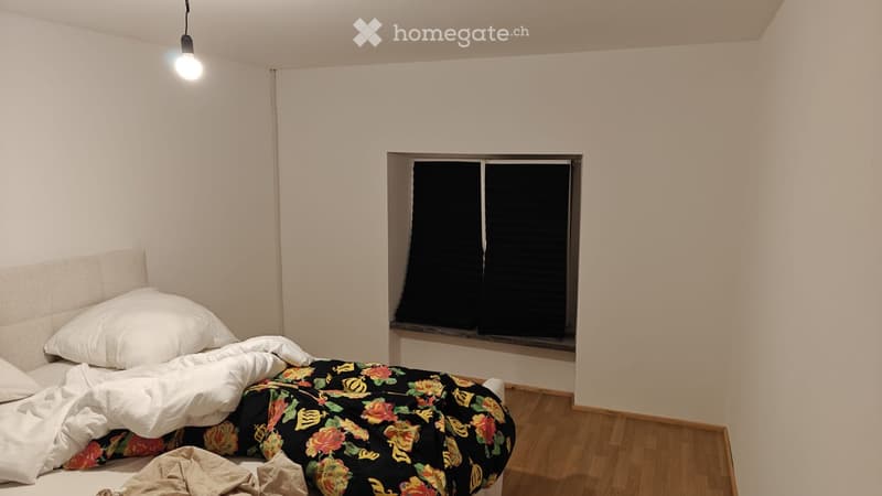 Frisch umgebaute 3,5-Zimmer-Wohnung mit Holzofen AB SOFORT (4)