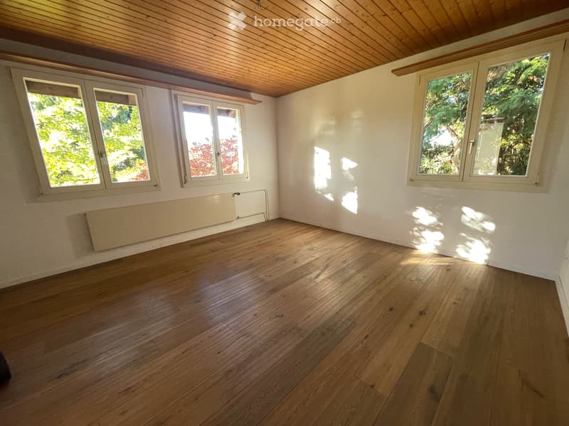 Einfamilienhaus in Othmarsingen (16)