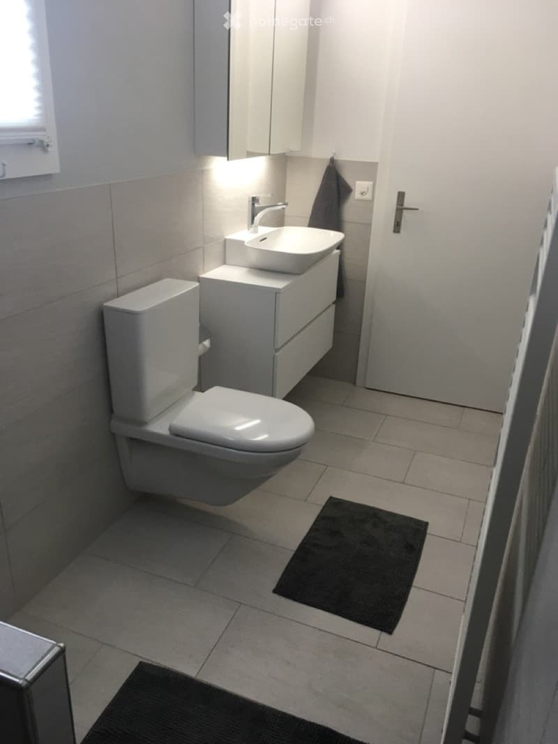 Modern bathroom with white tiles, a toilet, a sink with a faucet, a mirrored cabinet, and two black rugs on the floor.