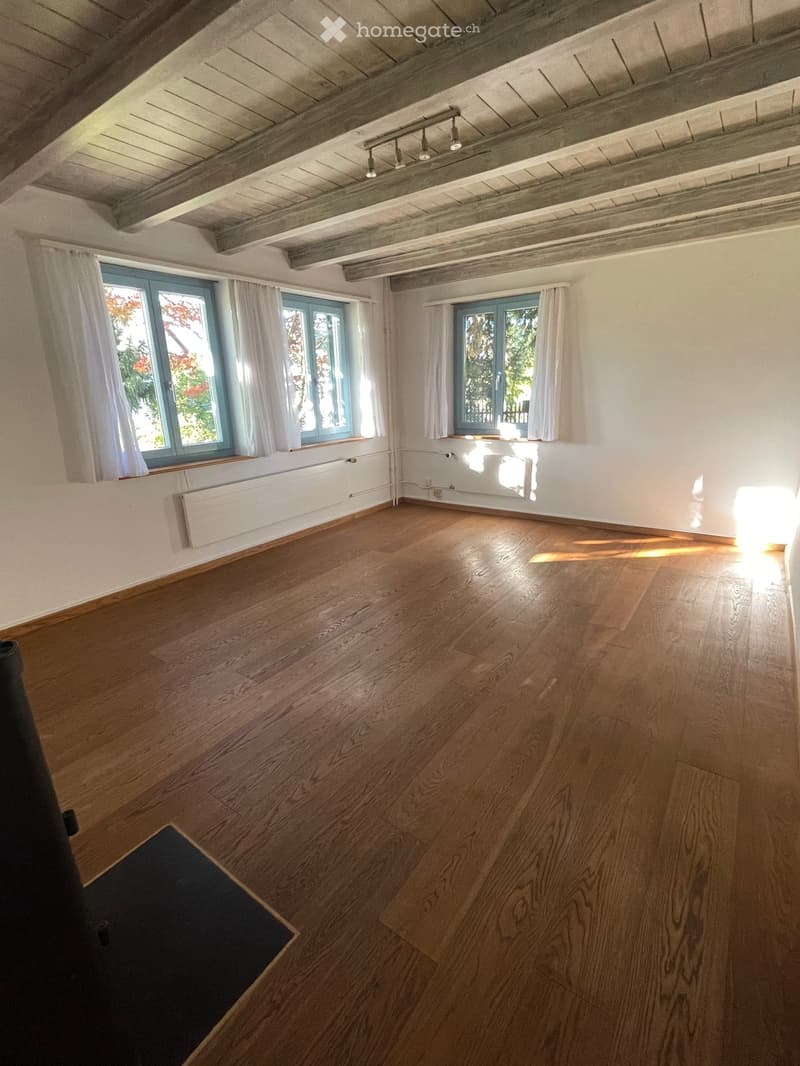 Einfamilienhaus in Othmarsingen (10)