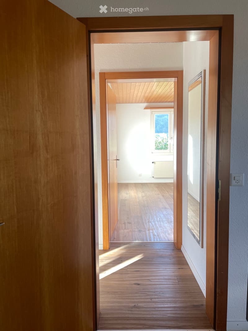 Einfamilienhaus in Othmarsingen (17)