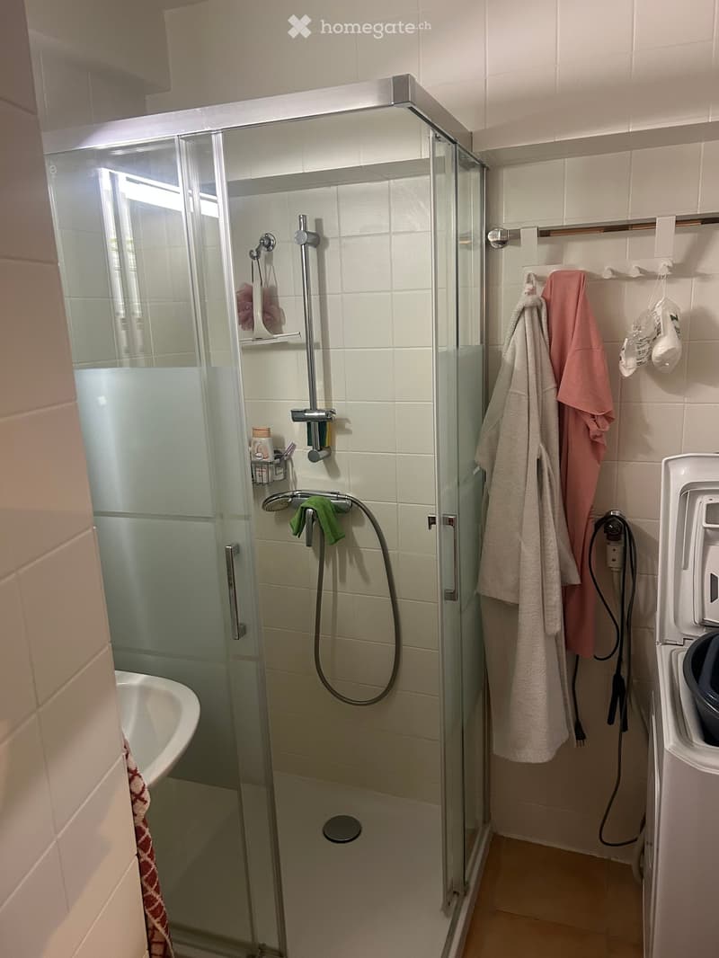 Modern bathroom with a glass-enclosed shower, bathtub, and towels hanging on a rack. The shower features a handheld showerhead and a built-in shelf for toiletries.
