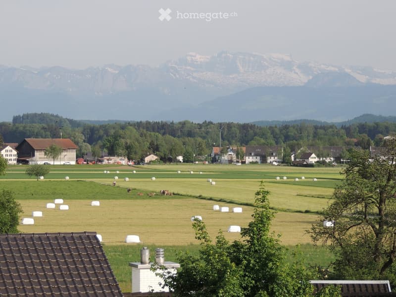 A wide, green field with scattered hay bales, a few grazing cows, and a small village with houses and trees in the background, with mountains visible in the distance.