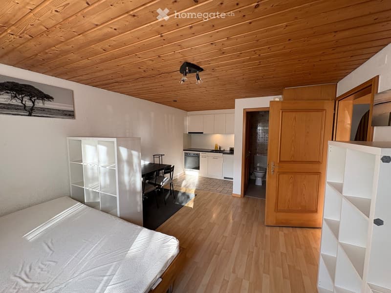 Cozy studio apartment with wooden floors, a bed, a small dining area with a table and chairs, a kitchen area with cabinets and an oven, and a bathroom with a toilet. The room features built-in shelving and a slanted wooden ceiling.