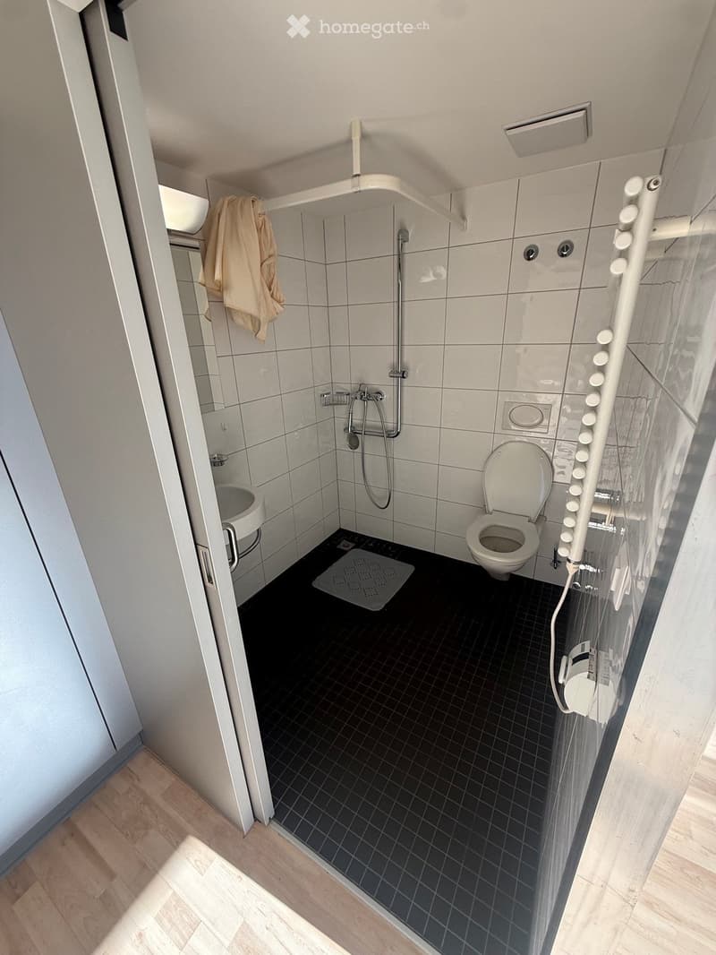 Modern bathroom with a toilet, shower, sink, and mirror. Features tiled walls and a black tiled floor.