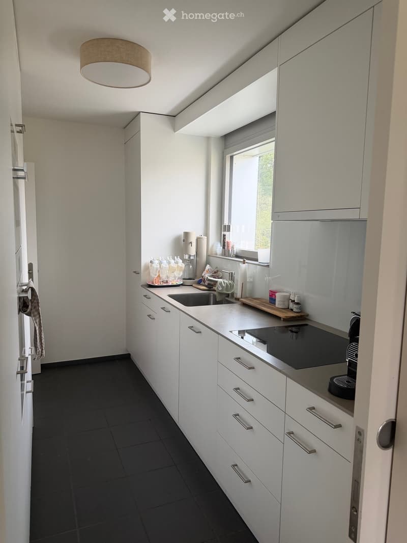 Modern kitchen with white cabinets, black countertop, and stainless steel appliances. Features include an induction stove, sink, and various small appliances on the counter.
