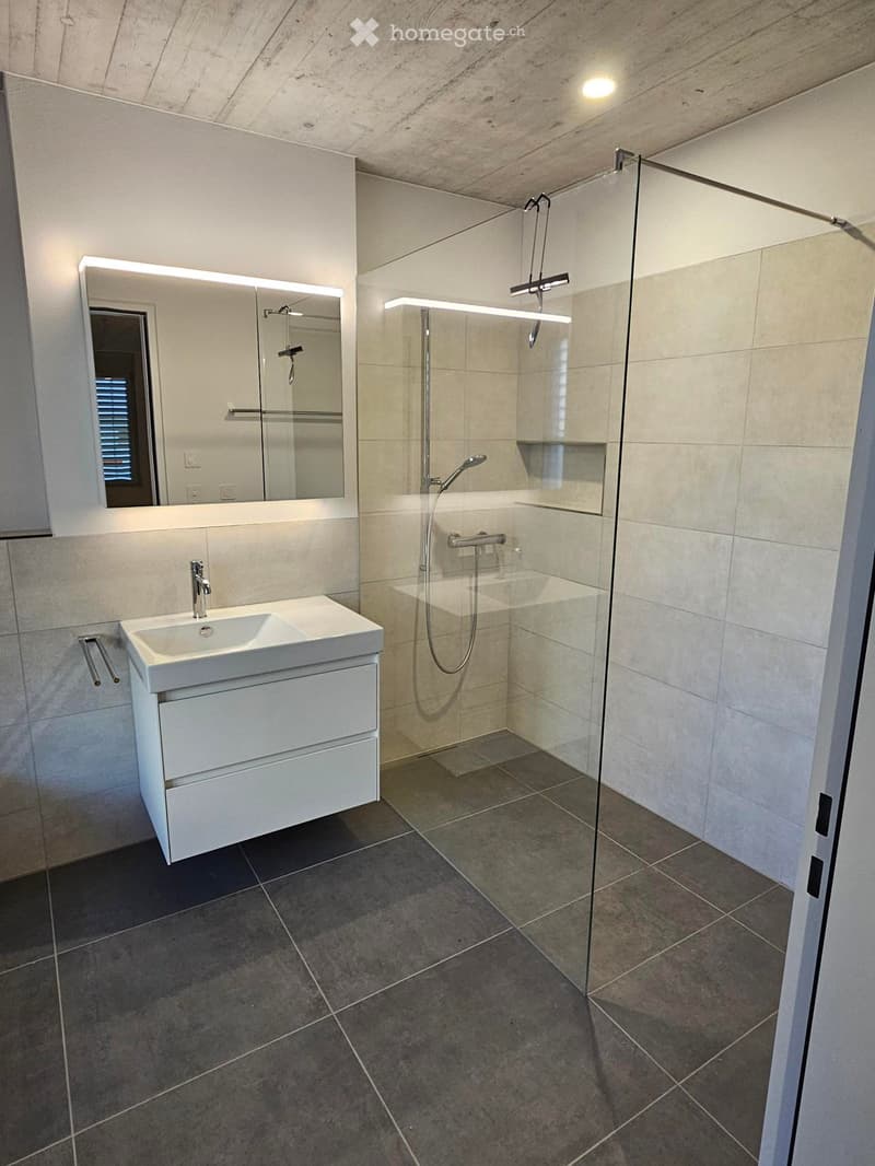 Modern bathroom with a white sink, large mirror, and glass-enclosed shower area.