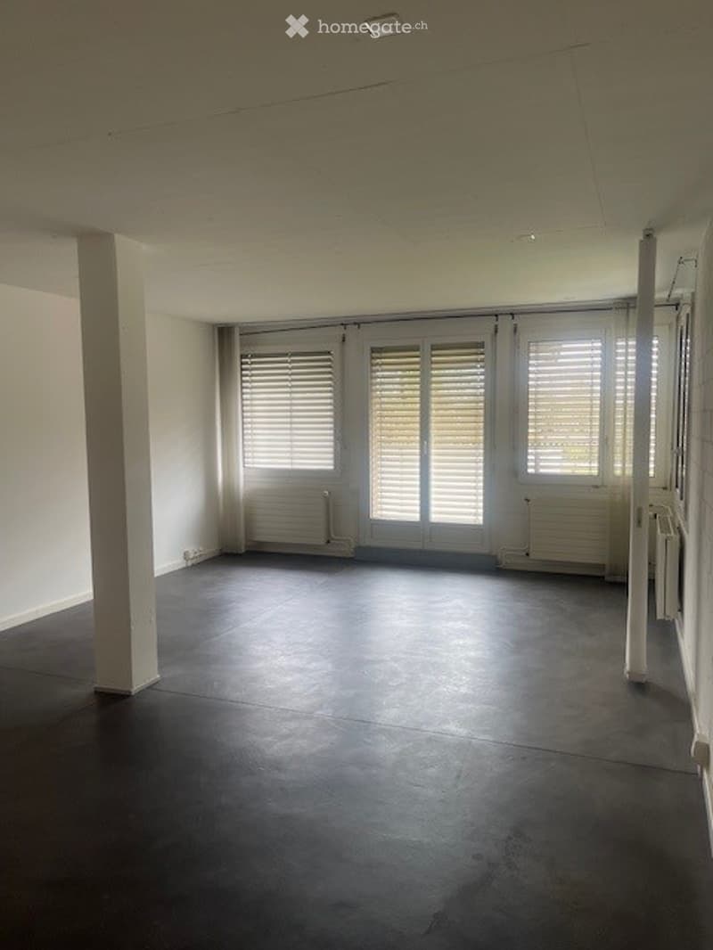 Empty room with white walls, dark flooring, large windows with blinds, and a radiator. No furniture or equipment present.