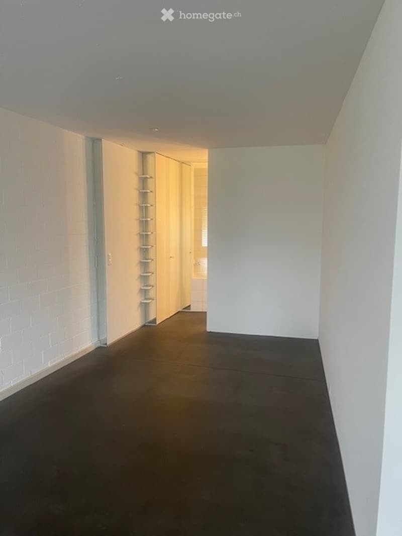 Empty room with white brick wall, dark flooring, and built-in shelving unit.