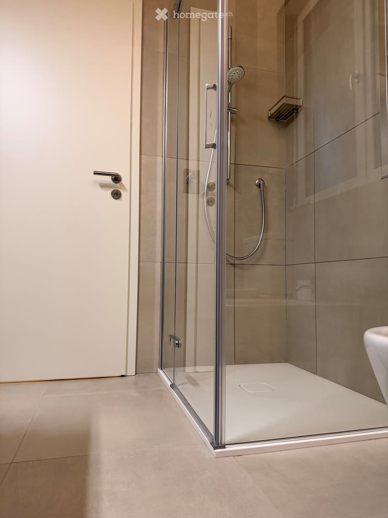 Modern bathroom with a glass-enclosed shower stall, a sleek showerhead, and a cabinet with a handle.