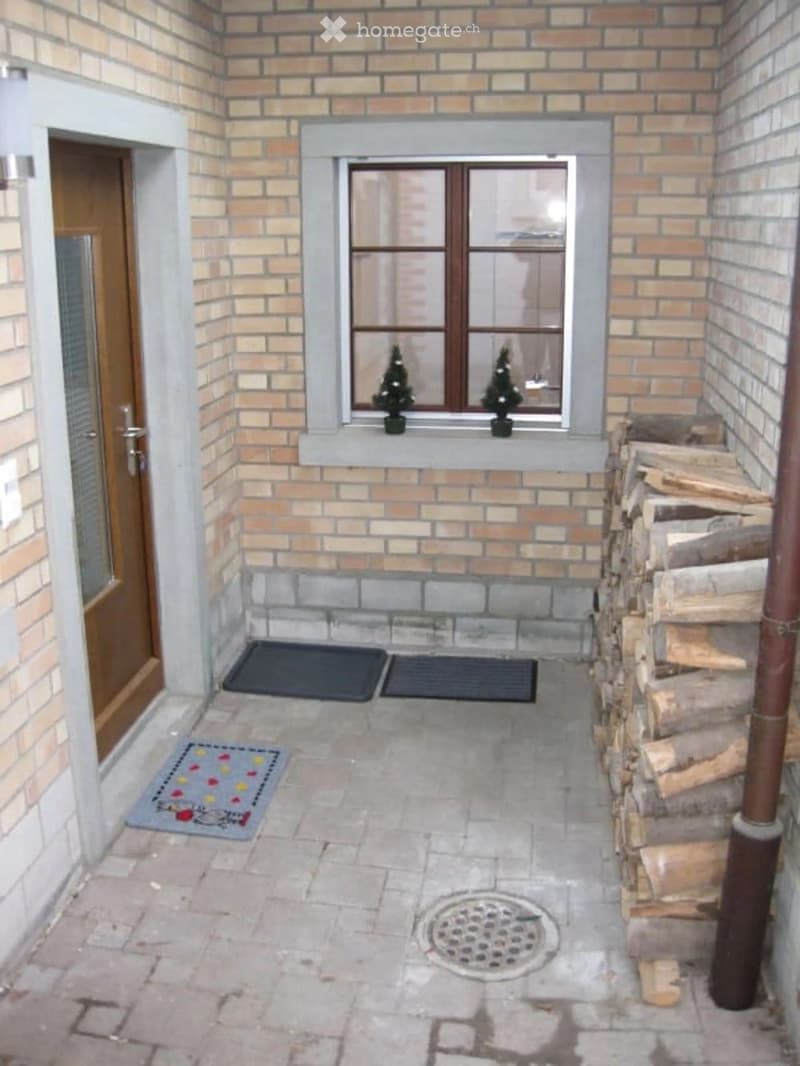Entrance area with brick walls, tiled floor, two doormats, a small rug, a window with two potted plants, and a stack of firewood to the right.
