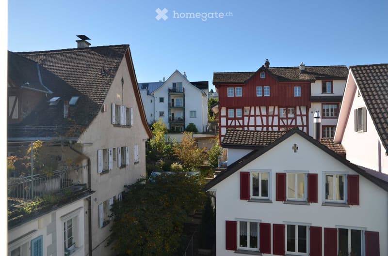 A row of traditional European houses with varied architectural styles, including red timber-framed and white plaster facades, multiple windows with shutters, and tiled roofs.