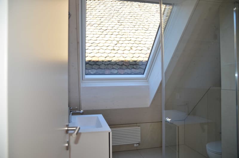 Modern bathroom with a white sink, chrome faucet, radiator, and a glass-enclosed shower area with a toilet visible inside.