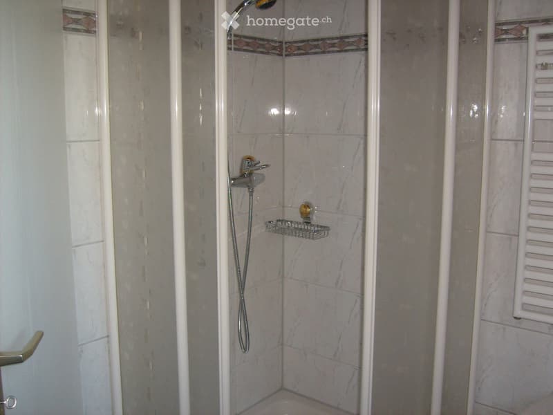 Modern shower stall with marble tiles, glass enclosure, and a handheld showerhead. Includes a small shower rack for storage.