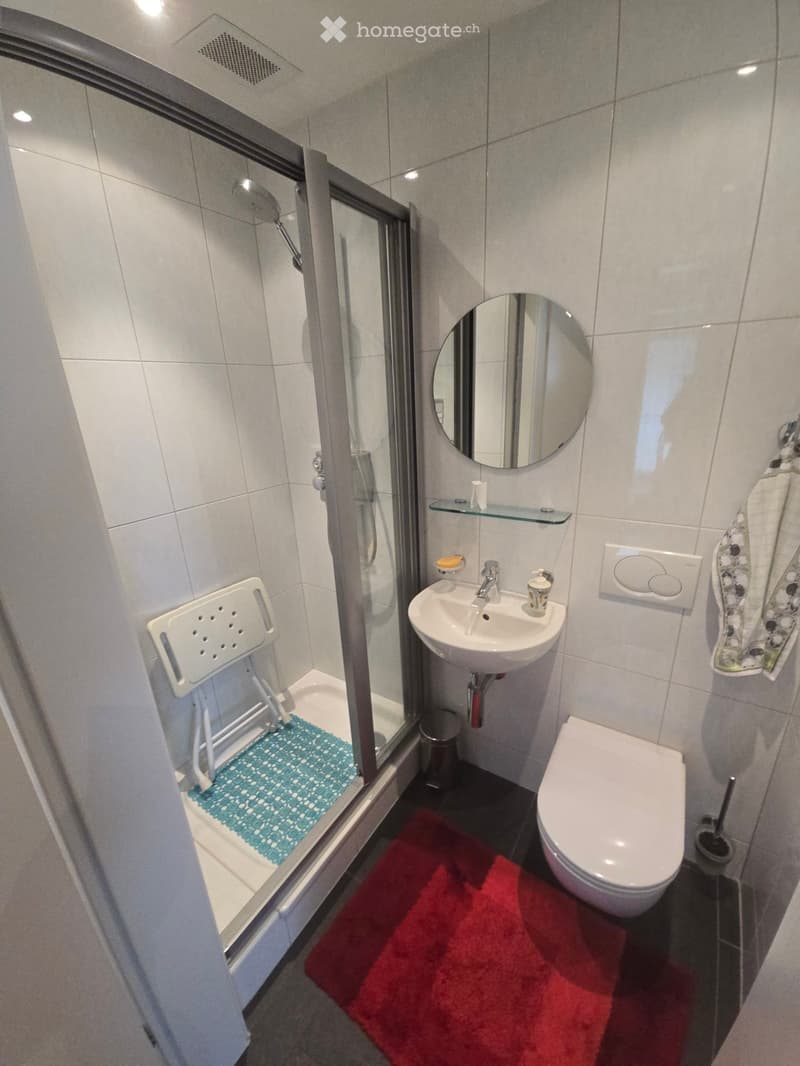 Modern bathroom with a white sink, toilet, shower with glass enclosure, and a round mirror above the sink. Includes a red bathroom rug and a white bathroom chair.
