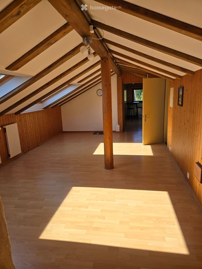 Bright, wooden-floored hallway with exposed wooden beams and skylights, leading to another room with visible furniture.