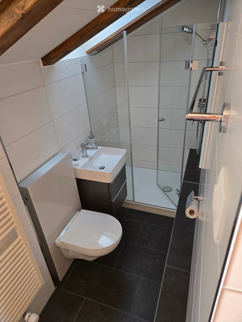 Modern bathroom with a toilet, sink, and glass-enclosed shower. Features dark tiled flooring and white tiled walls.