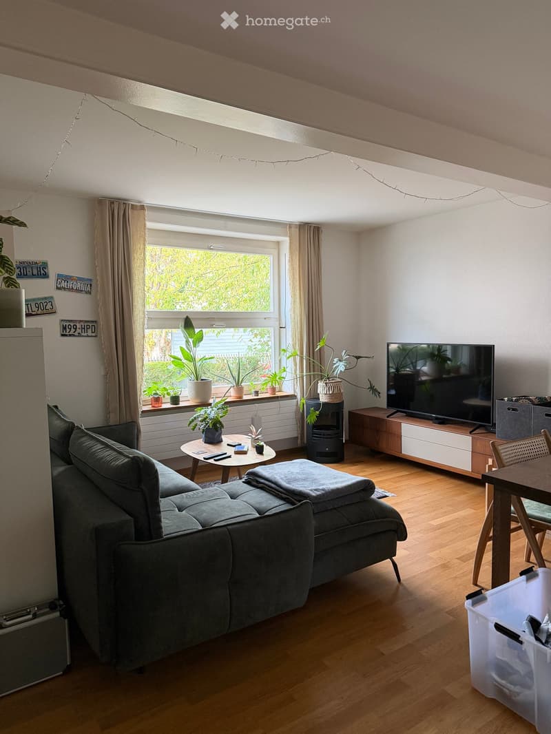 Living room with wooden flooring, large window with plants, grey sectional sofa, coffee table, TV stand, and dining area with a table and chairs.