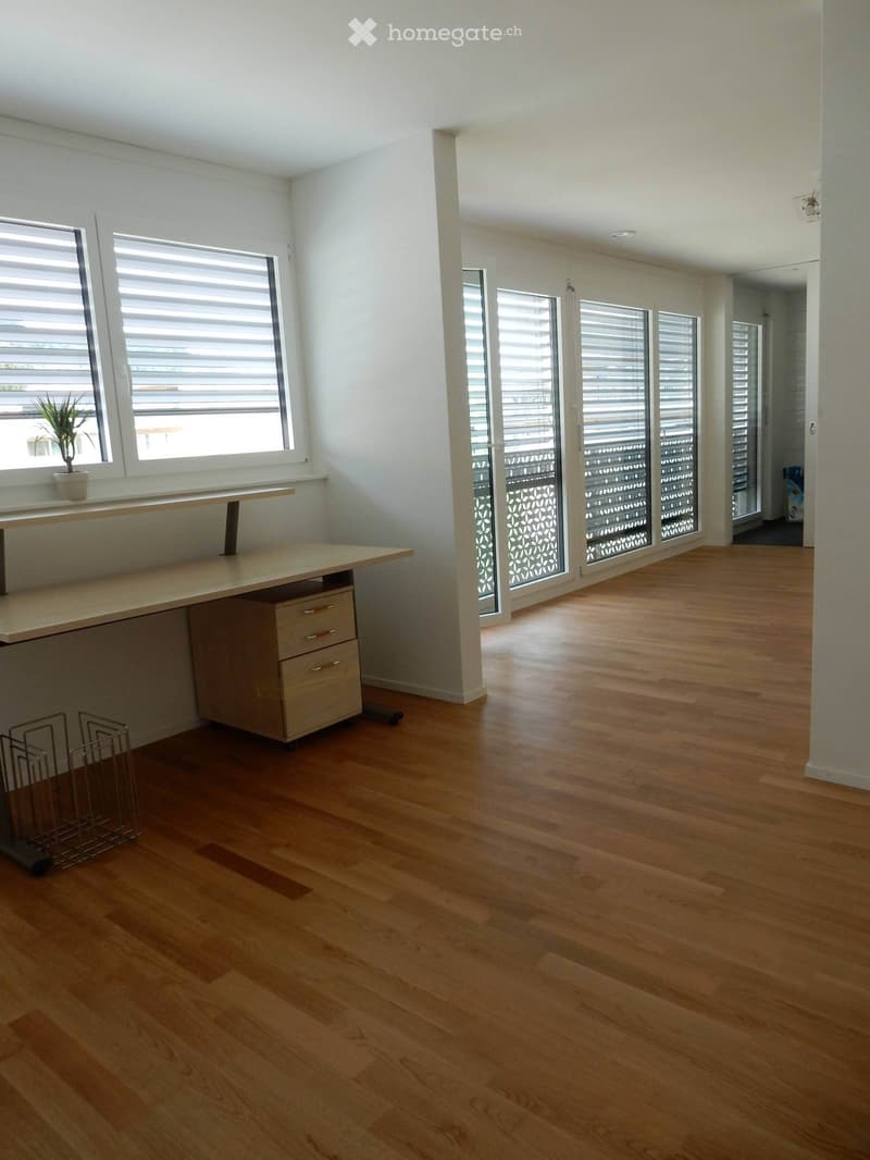 Empty room with wooden flooring, large windows with blinds, and a small table with a potted plant on a windowsill. The room has a modern, minimalist design with white walls and a central column.