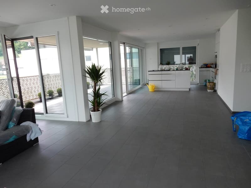 A modern, open-plan living space with dark tiled flooring, a black sofa, potted plants, and a white kitchen area with cabinets and a counter.