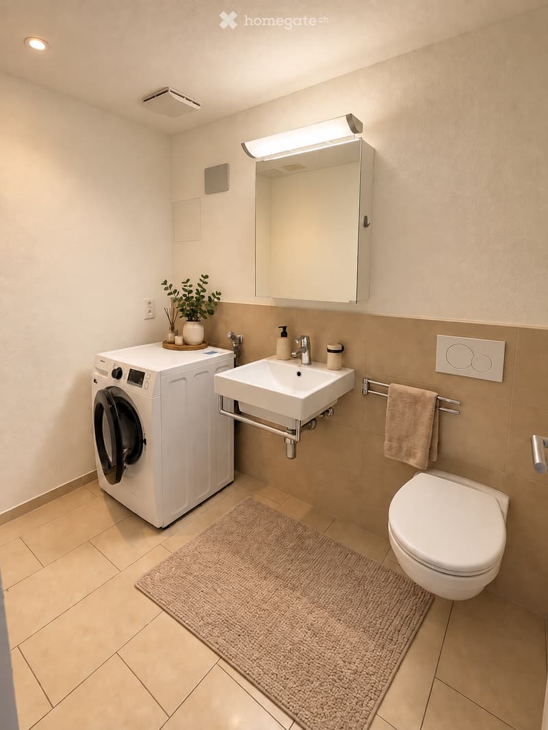 Modern bathroom with a white sink, toilet, washing machine, mirror, towel, and small plant on the counter.