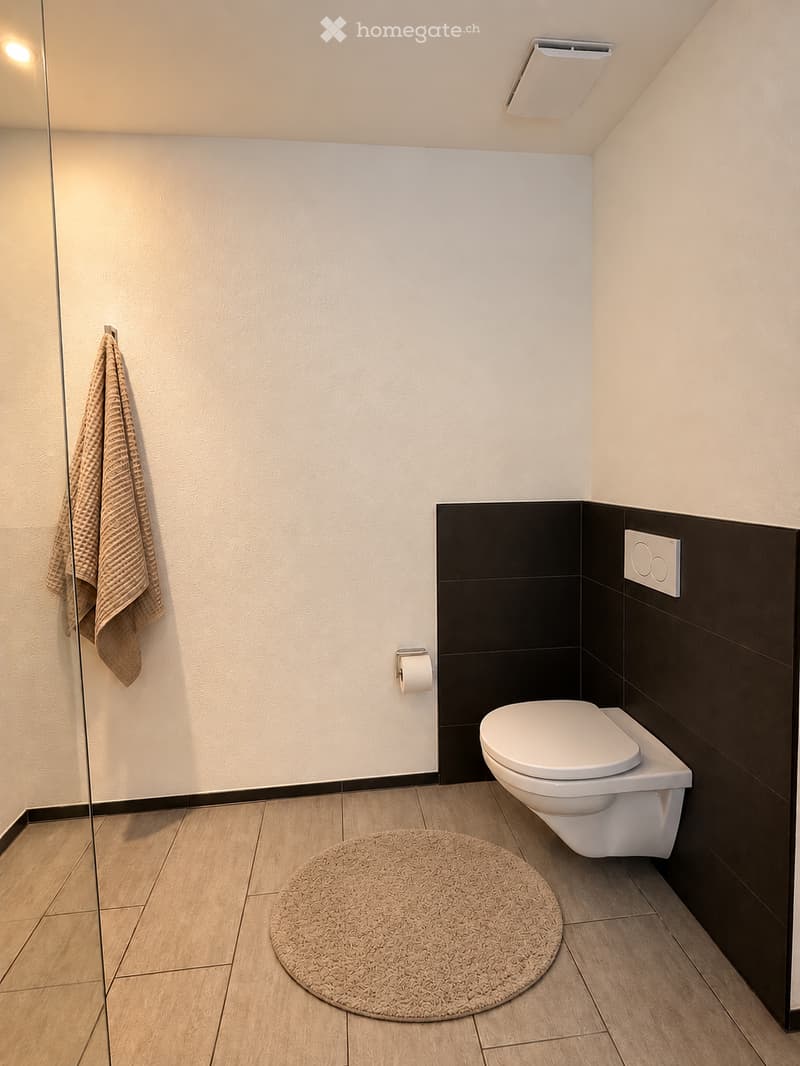 Modern bathroom with a toilet, a round bathroom rug, a towel hanging on a glass door, and a toilet paper holder.