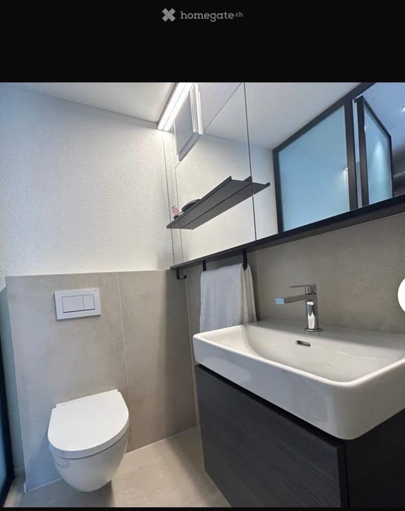 Modern bathroom with a white toilet, a white sink with a chrome faucet, a large mirror, a towel, and a shelf above the sink.