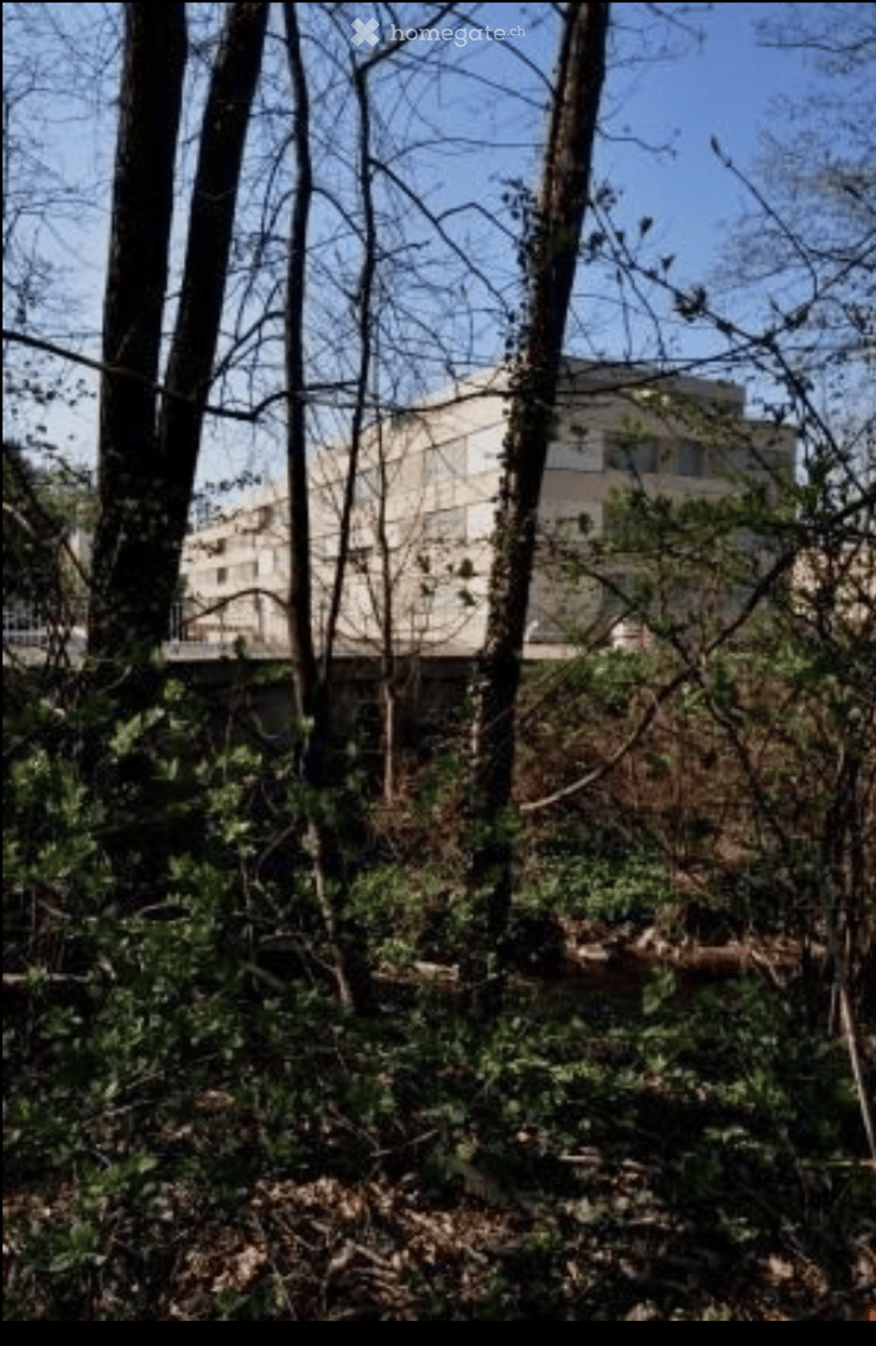 A multi-story residential building partially obscured by trees and vegetation in a natural setting.