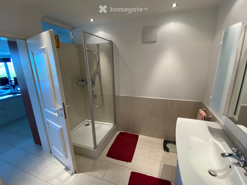 Modern bathroom with a glass-enclosed shower, a white sink with a mirror, and red bath mats on the floor.