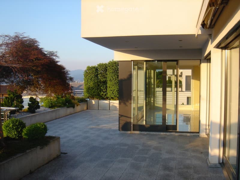 Modern outdoor patio with large glass sliding doors leading to a building, surrounded by neatly trimmed shrubs and trees, with a clear view of the city and mountains in the background.