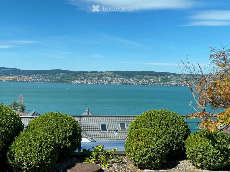 Balcony with a panoramic view of a lake and distant cityscape, surrounded by neatly trimmed bushes and a metal railing.