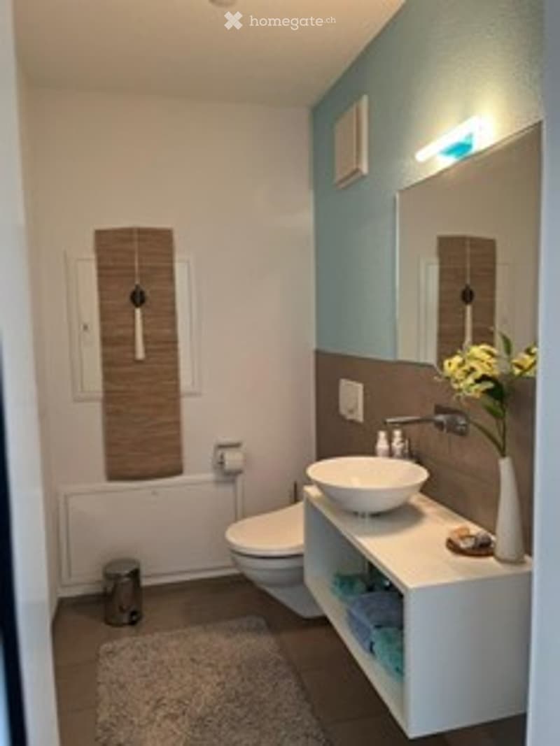 Modern bathroom with white walls, blue accent wall, white sink, toilet, and a small flower vase on the counter.