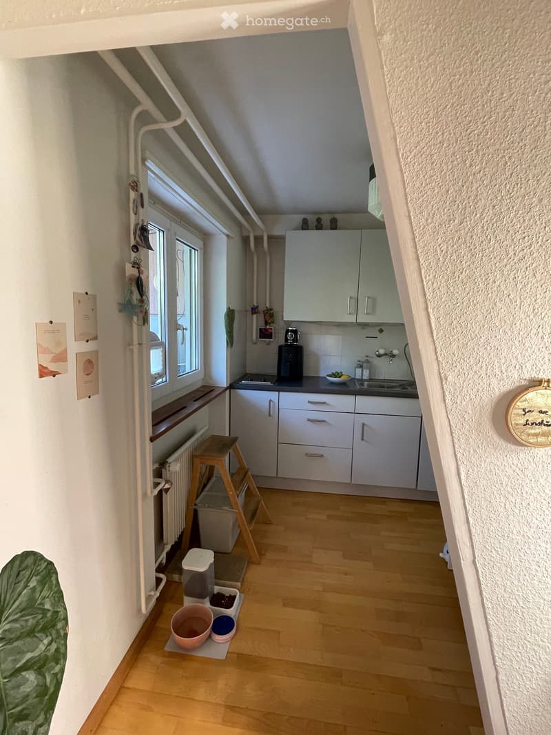 The image shows a small, well-lit kitchen area with white cabinets, a sink, and a small counter. There is a wooden stool, a radiator, and a cat food area with bowls and a litter box. The floor is wooden, and there is a window with a small bench underneath