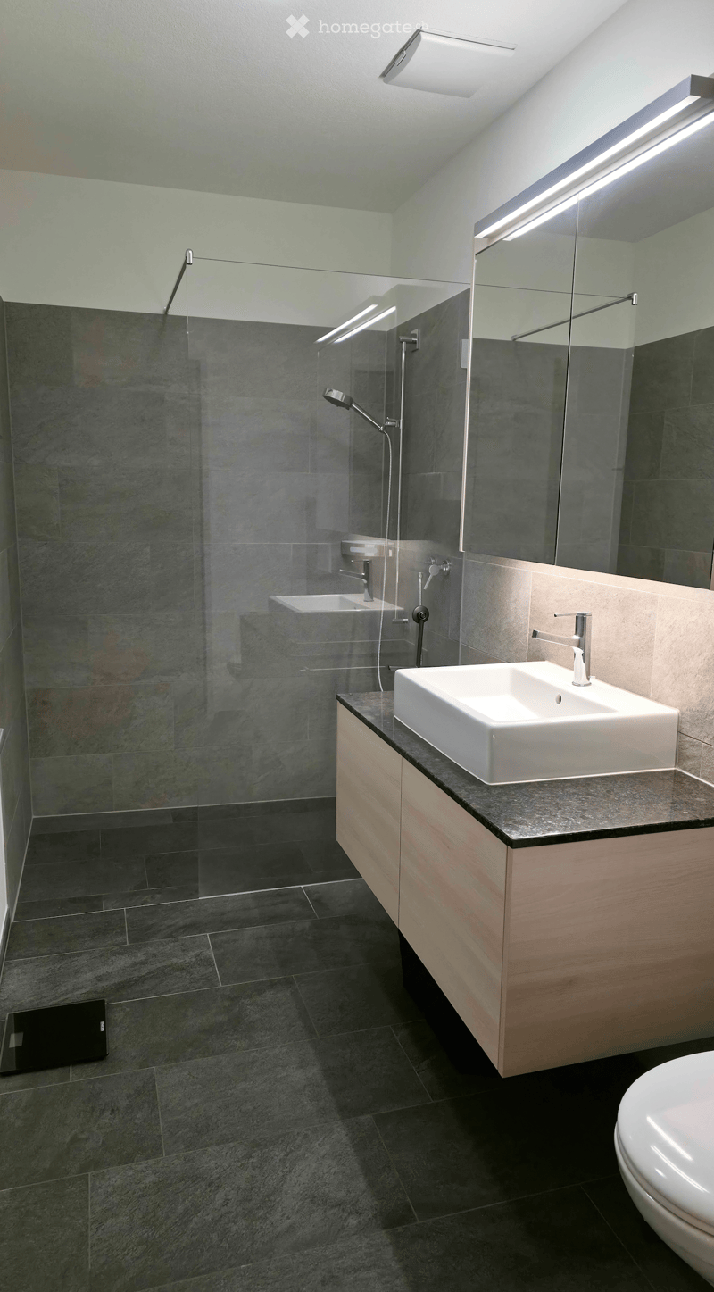 Modern bathroom with dark grey tiles, a large mirror, a sink with a wooden cabinet, and a glass-enclosed shower area.