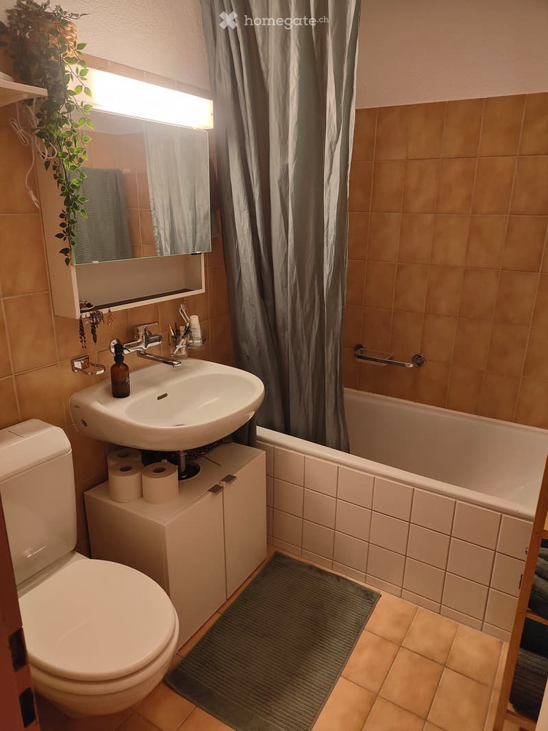 Bathroom with a toilet, sink, mirror, bathtub, and shower curtain. Includes a small cabinet under the sink holding toilet paper and a bottle, along with a toothbrush holder and a small plant on the shelf above the sink.