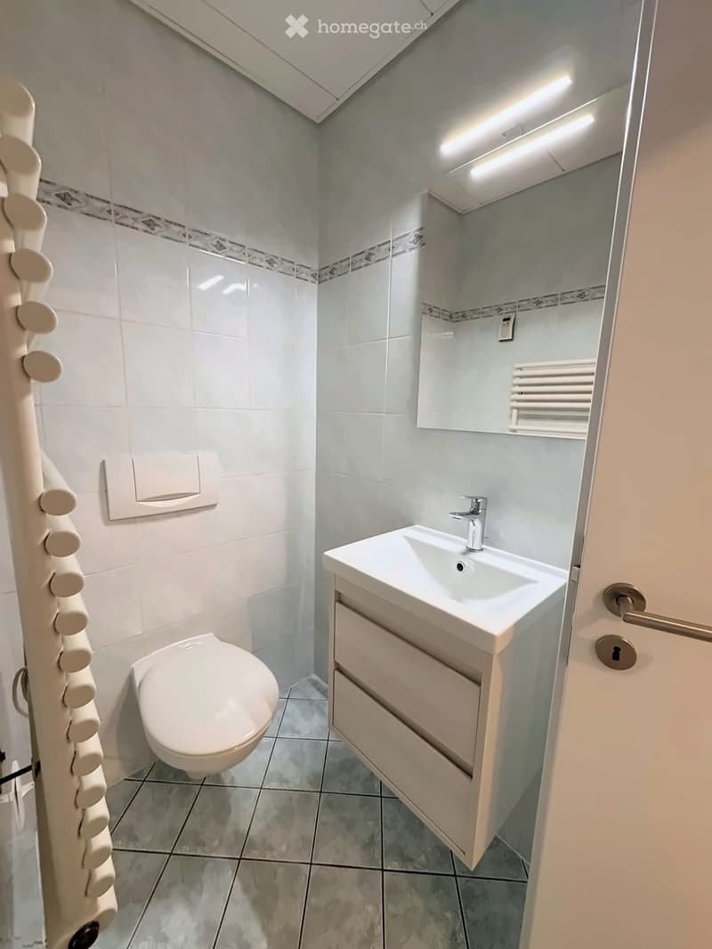 Modern bathroom with white tiles, a toilet, a sink with a faucet, a mirror, and a radiator. The walls are painted in a light blue color with a decorative border near the ceiling.