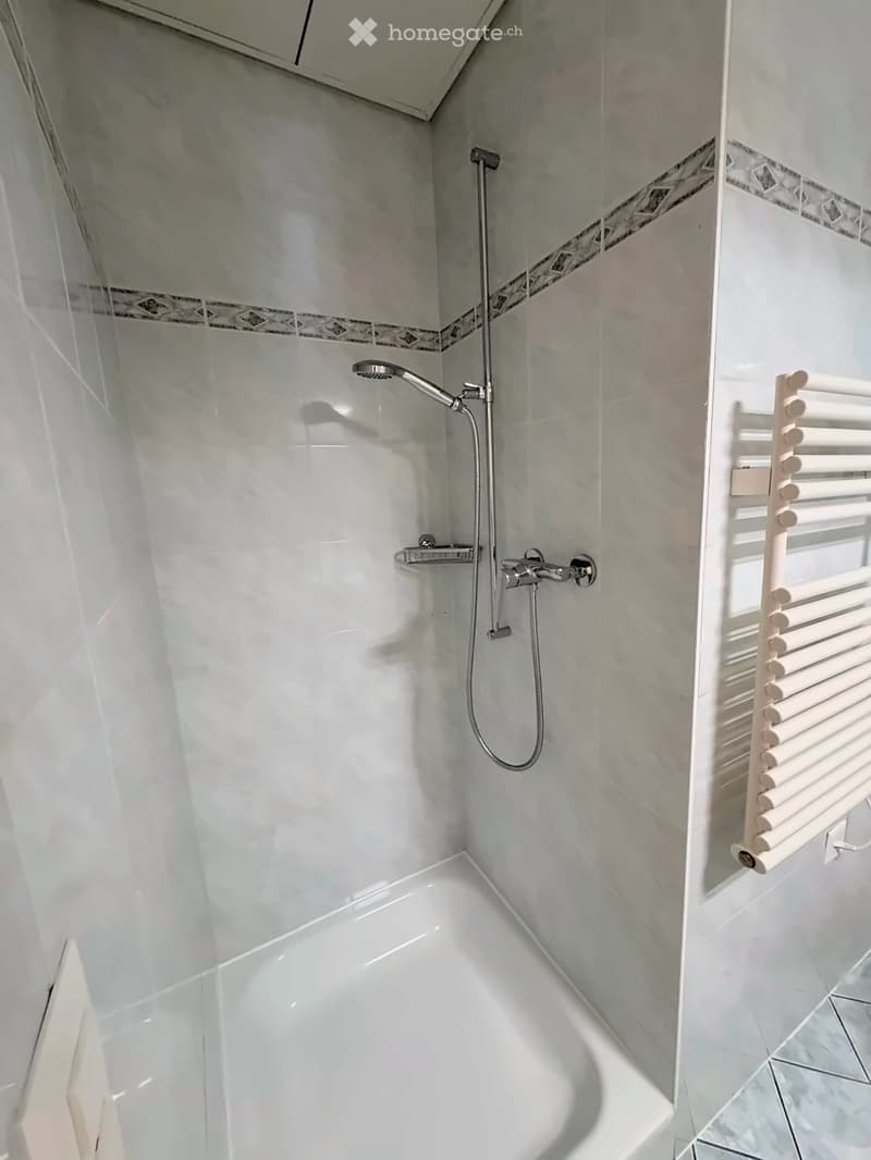 Modern bathroom with white tiles, a shower area, a radiator, and a sleek chrome showerhead.