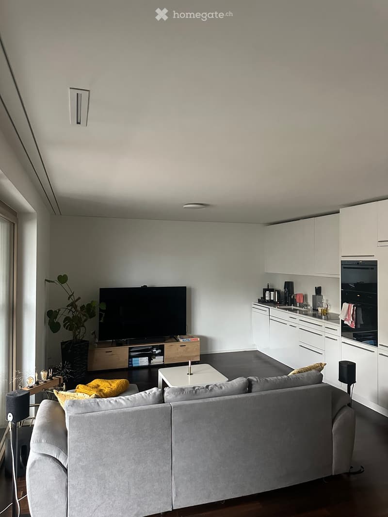 Modern living room with a grey sofa, coffee table, flat-screen TV, and a small kitchen area with white cabinets, sink, and oven. The room features a plant and a small table with a yellow cushion.