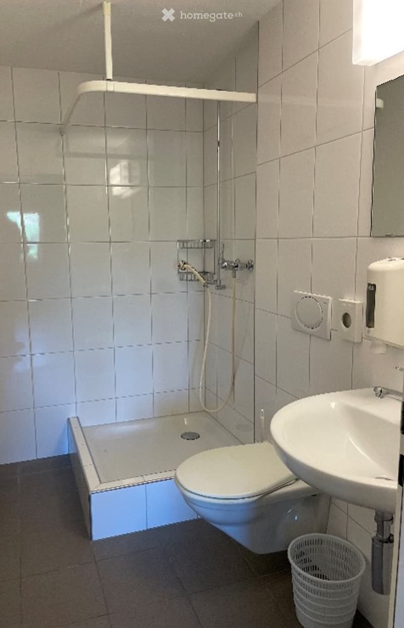 Modern bathroom with white tiles, a toilet, a sink, a shower, a mirror, and a trash bin.