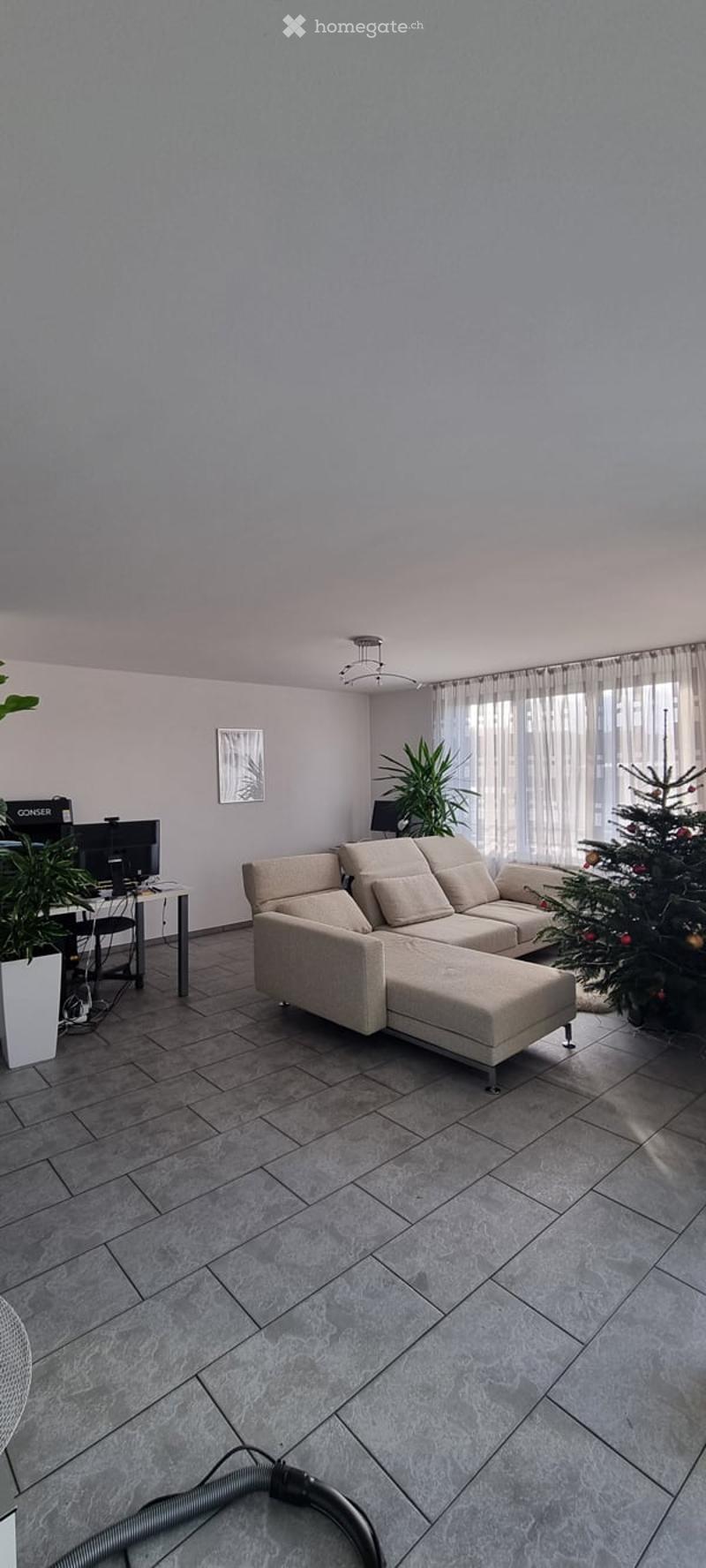 modern sofa, table, Christmas tree, tiled floor, plants, computer monitor